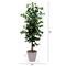 5.5ft. Artificial Ficus Double Stalk Tree in Hexagon Metal Planter